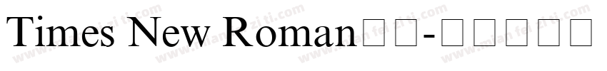 Times New Roman单线字体转换